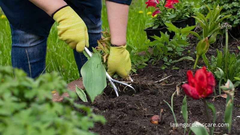 Garden Rake and Soil Rake