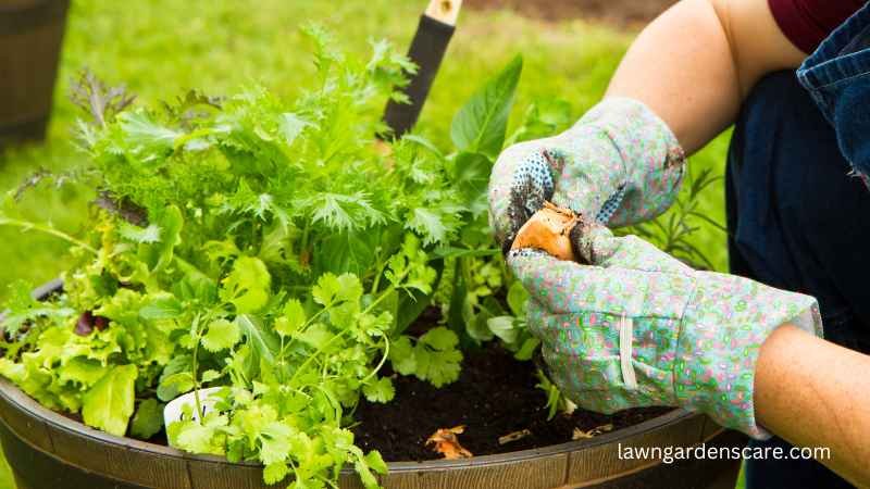 Gardening Gloves