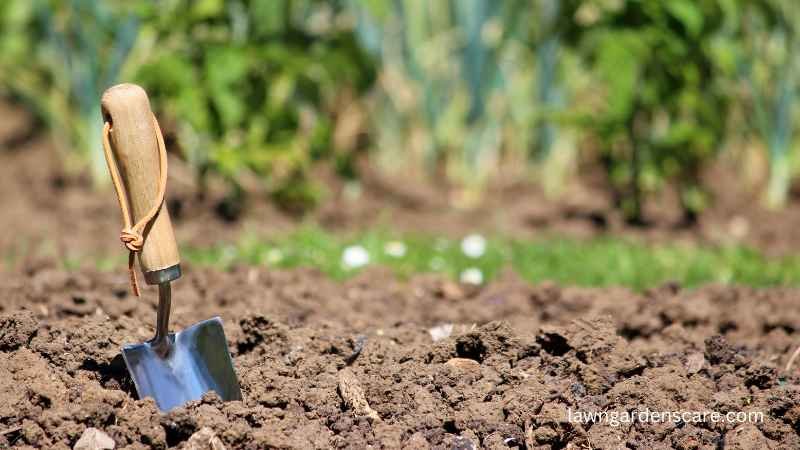 Hand Trowel