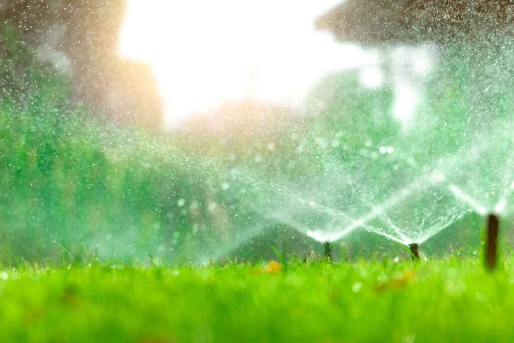 Lawn Watering FAQs