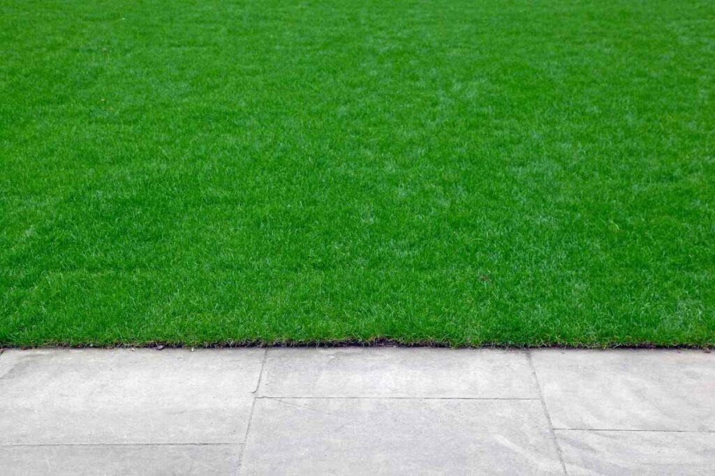 Edging Lawn Tips & FAQs