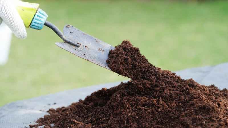 Garden Fertilizing Tips and FAQs