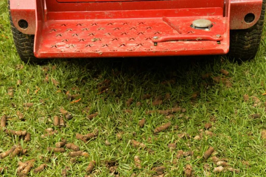 Lawn Aeration FAQs