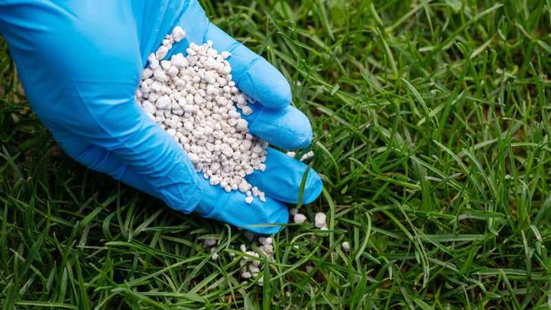 Lawn Fertilizer FAQs