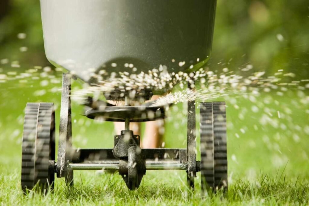 Lawn Fertilizer FAQs