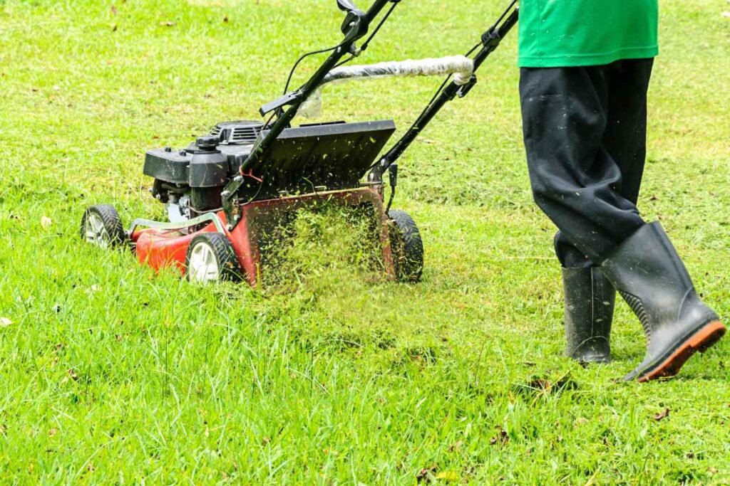 Lawn Mowing Tips & FAQs