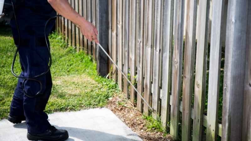 Lawn Pest Control Tips 