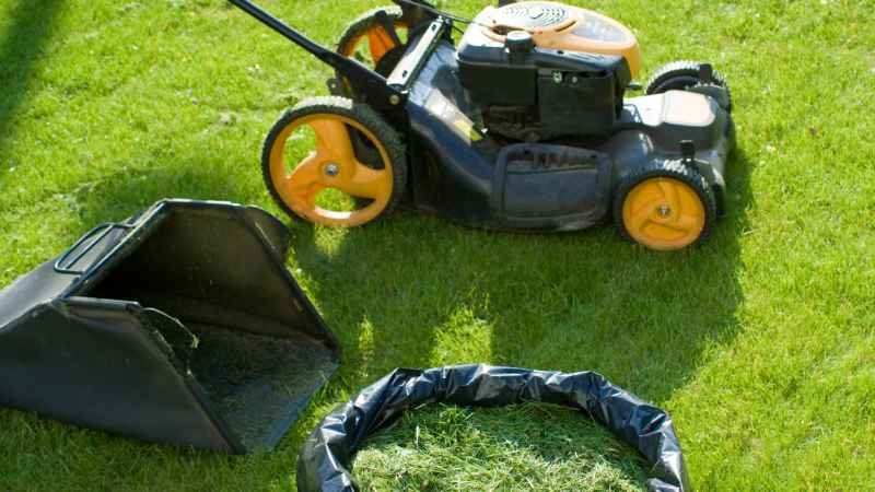 Mulching Lawn Tips and FAQs