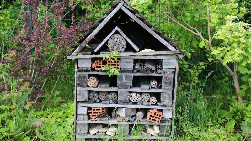 bee hotel