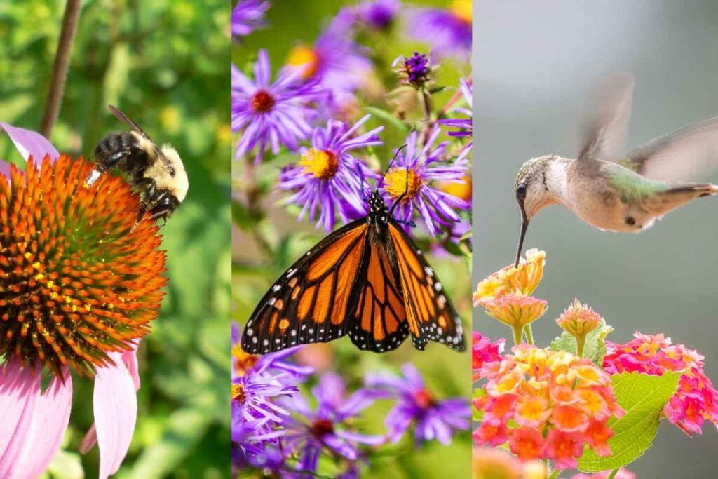 how to make a pollinator garden