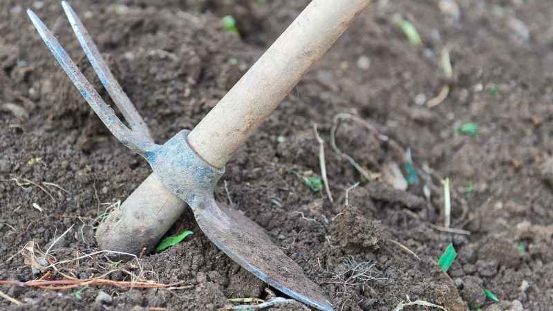 Hoeing Garden Tips 