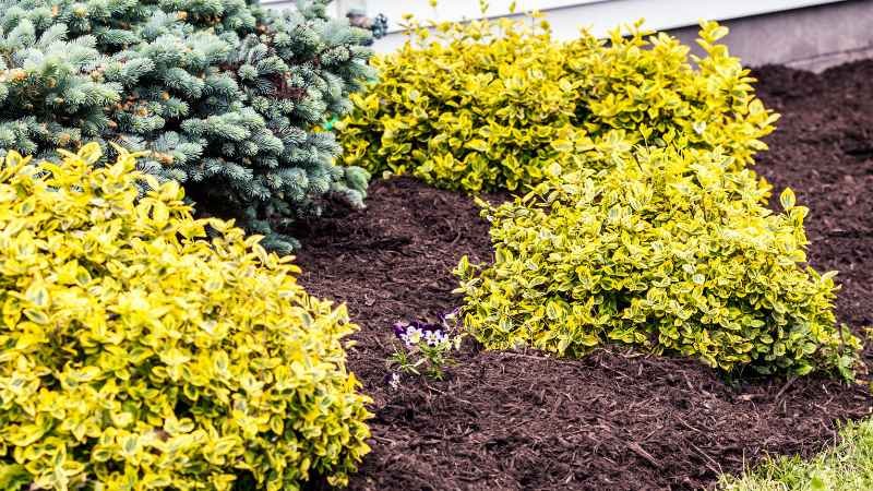 Mulching Garden Tips